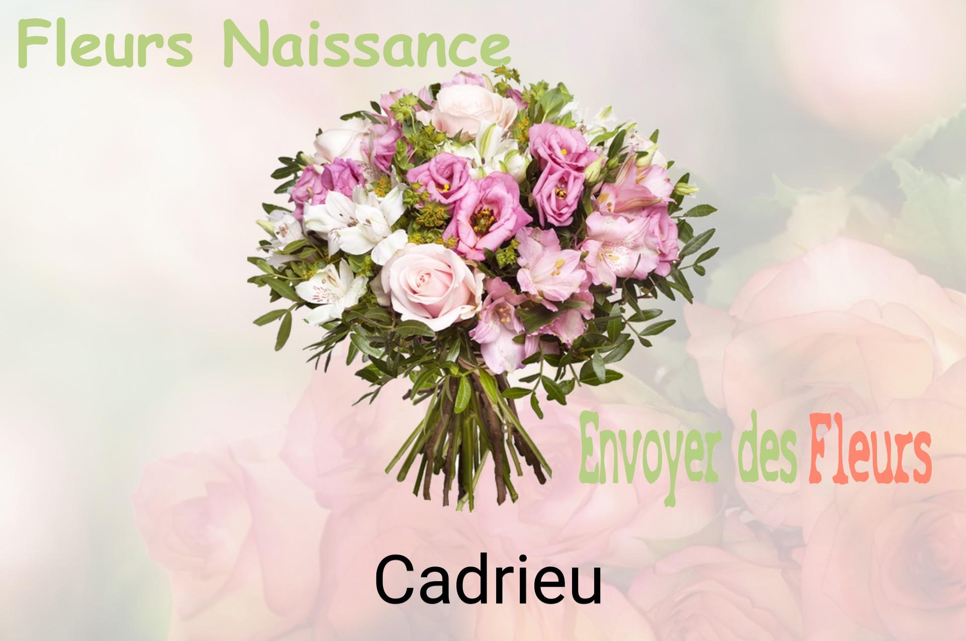 Bouquet de fleurs de naissance livré à Cadrieu